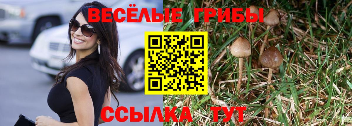 Галлюциногенные грибы прущие грибы  Вход с VPN  Тольятти  Галлюциногенные грибы Magic Shrooms 